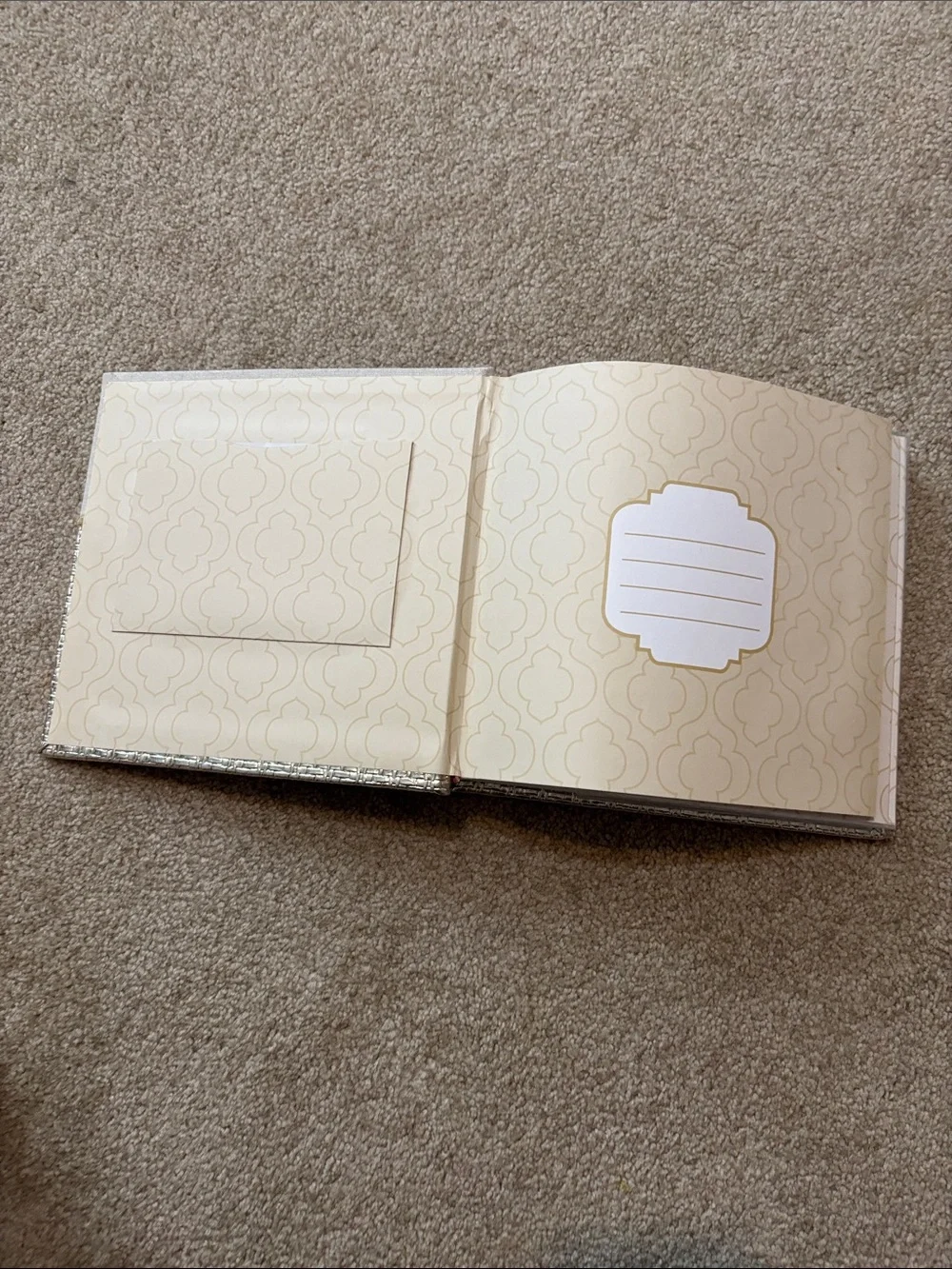Nicole Miller Metallic Gold and Cream Textured Photo album